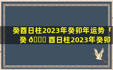 癸酉日柱2023年癸卯年运势「癸 🐛 酉日柱2023年癸卯 🐧 年运势如何」